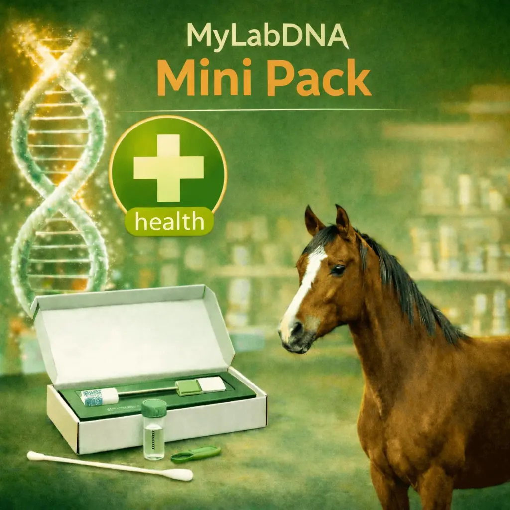 Häst-DNA-tester