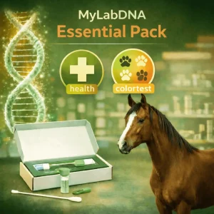 Horse with highlighted health and physical traits from DNA testing